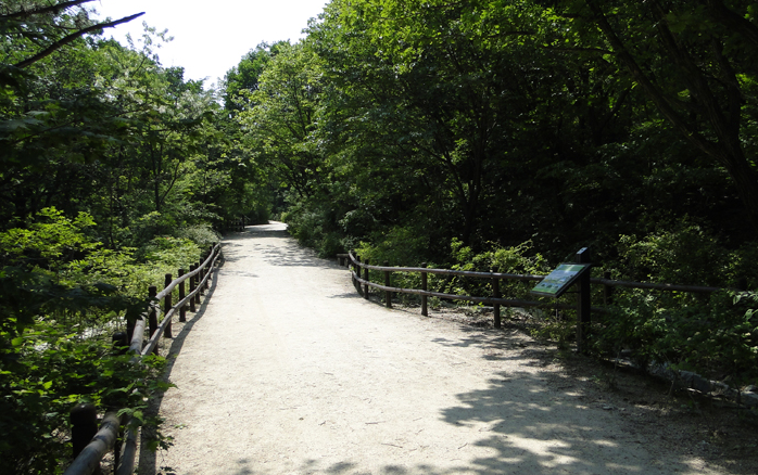 북한산 둘레길 우이령길