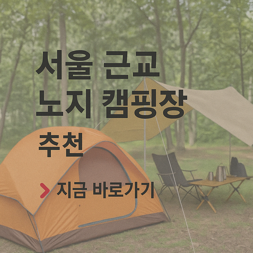 서울 근교 노지 캠핑장 준비물 추천 자연 그대로 힐링 명소