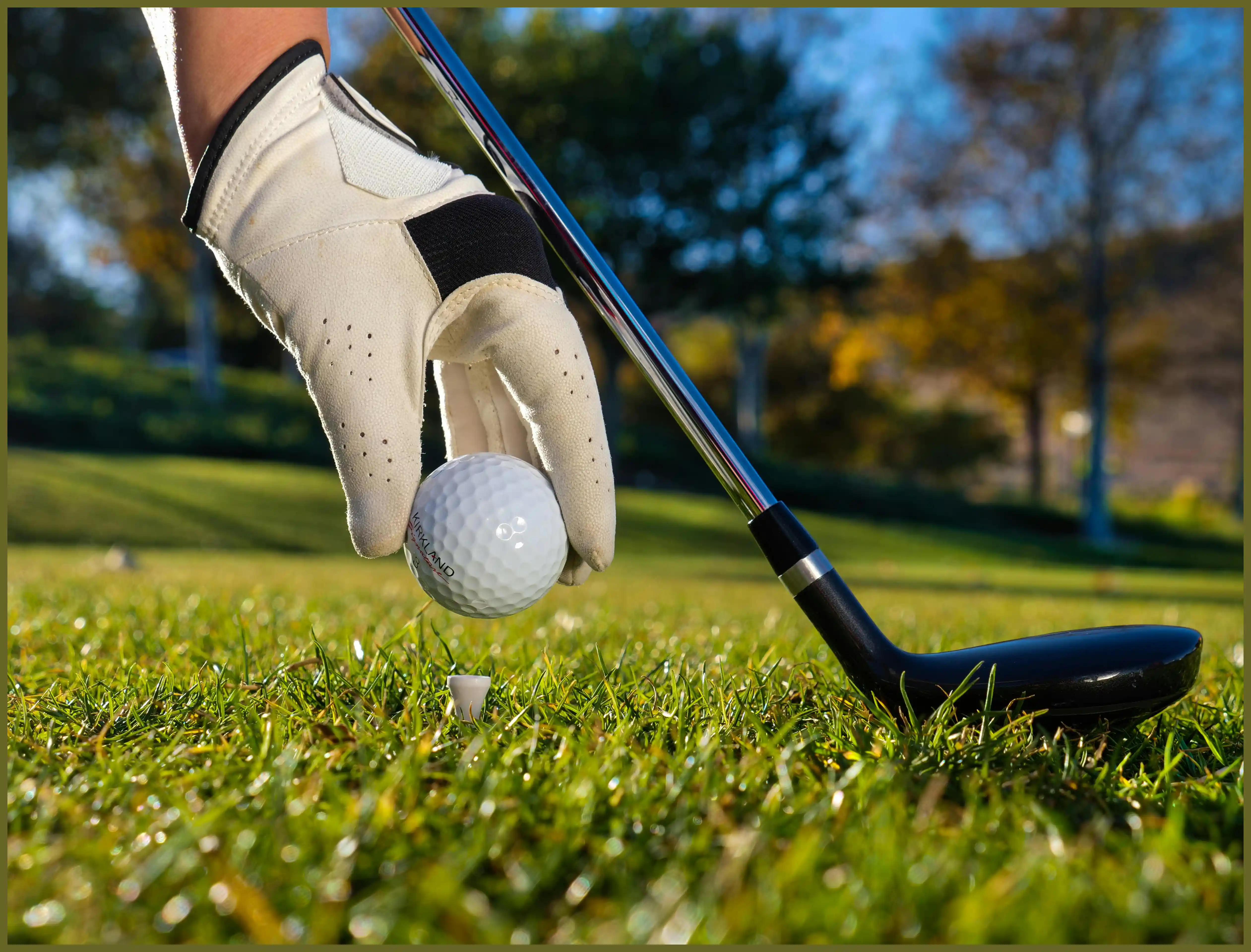 파크골프 용어 정리 해설 점수 계산법