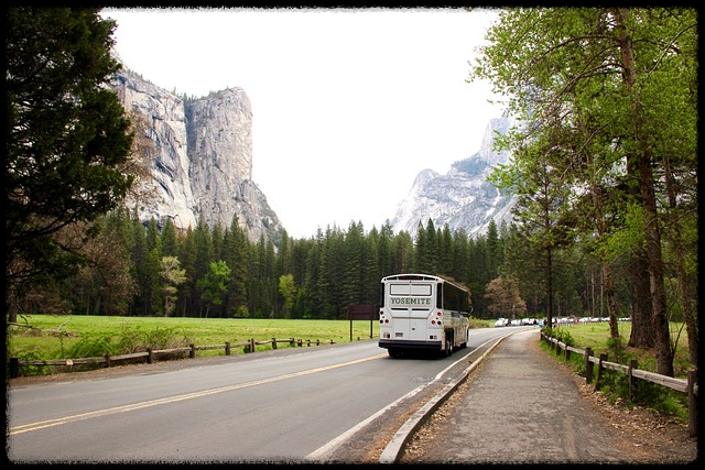 티머니고 시외버스 예매 취소 환불 수수료