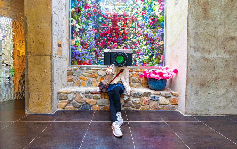 강원도 하슬라 아트월드에서 찍은 사진