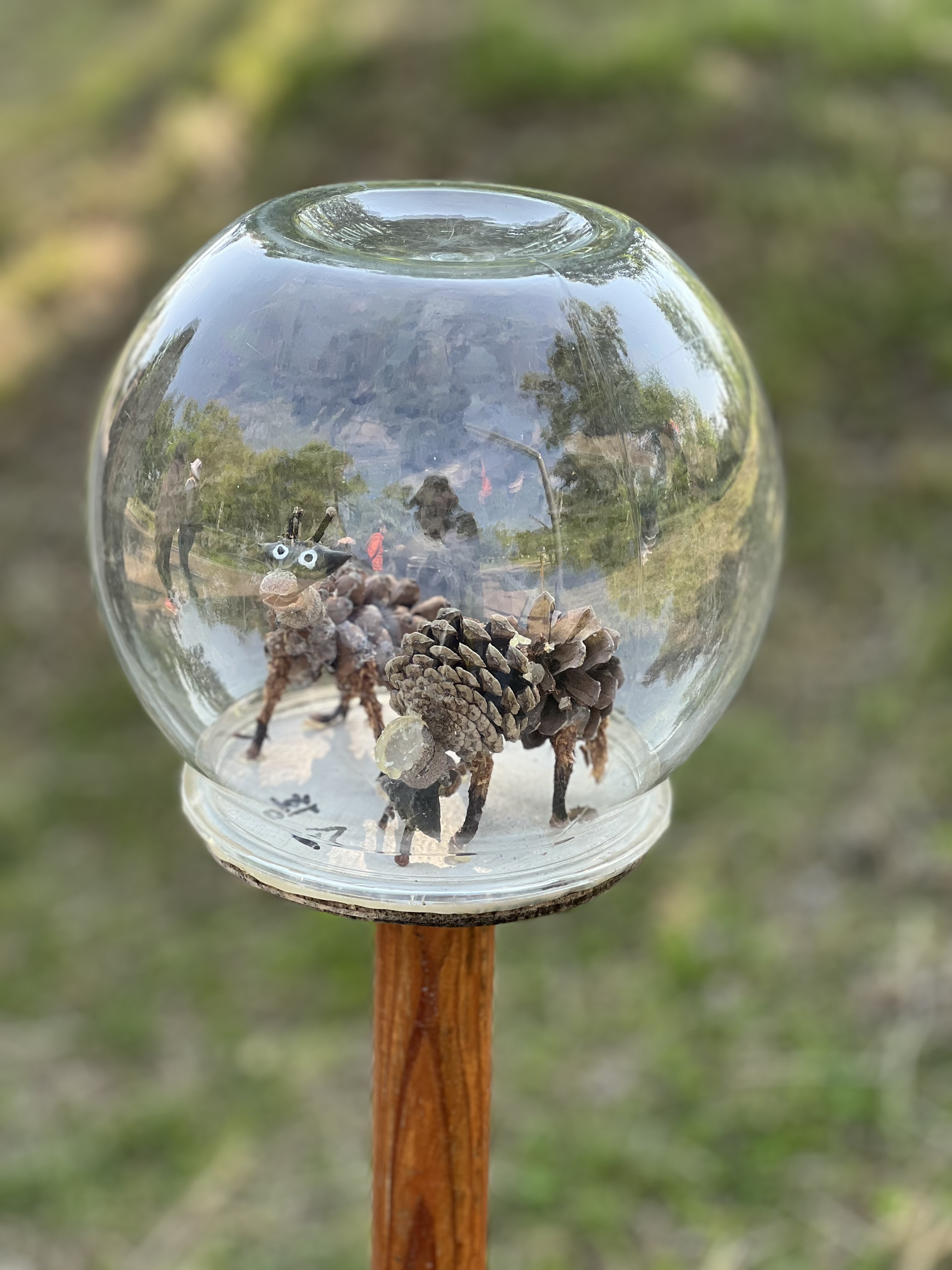 해운대수목원 감상