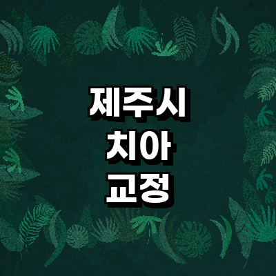 제주 제주시 교정 치과