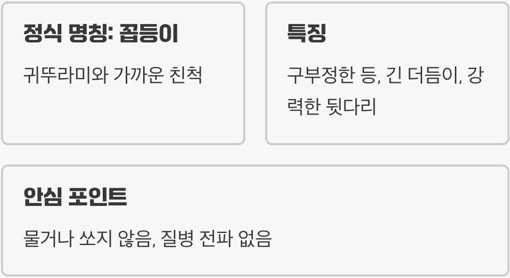 이 벌레, 정체가 뭔가요?