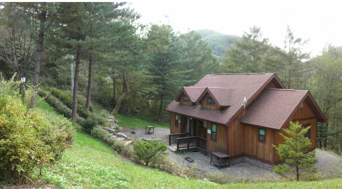 통나무집-숲-나무