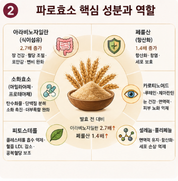 파로효소-효능-먹는법-성분-부작용-추천-제품-비교