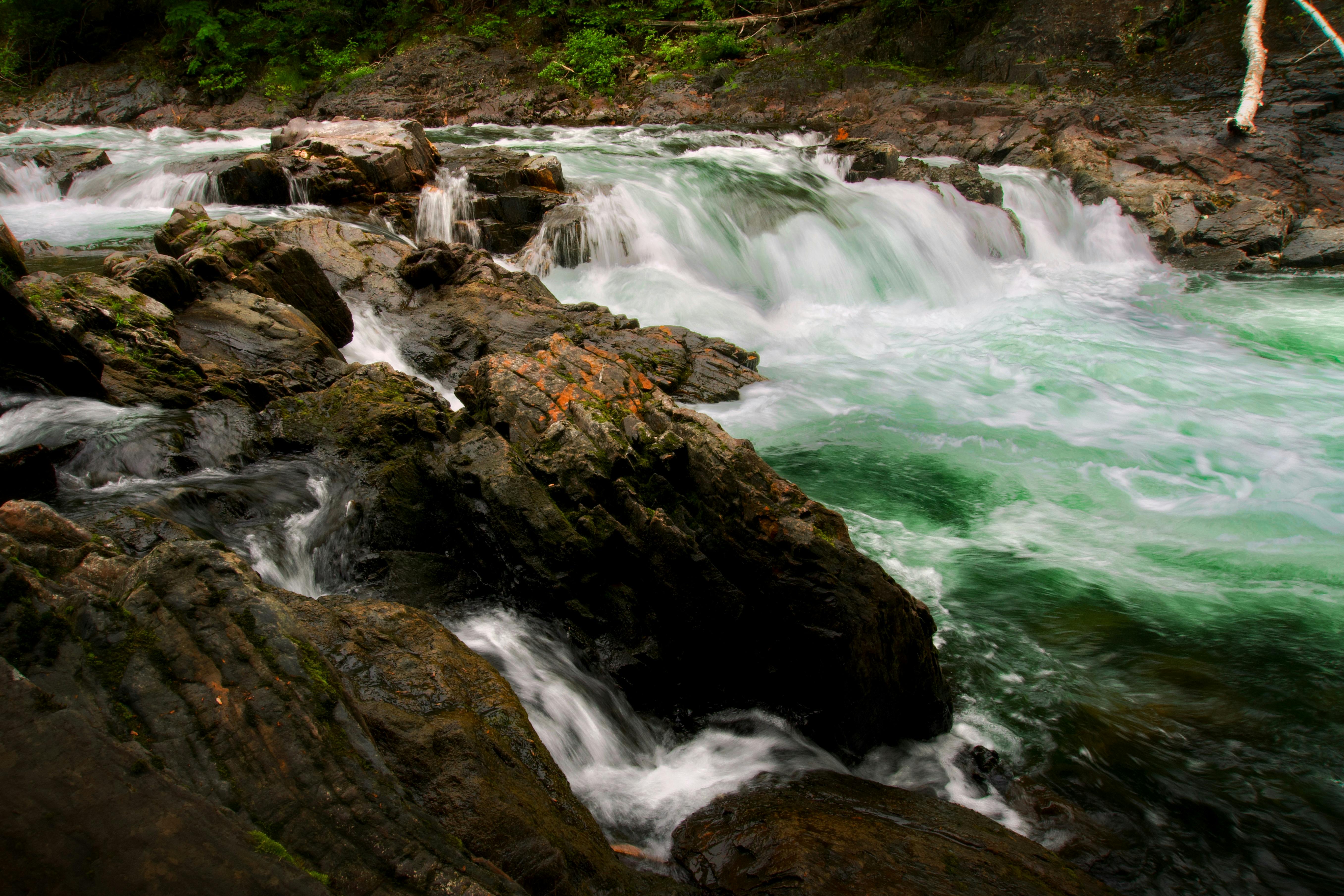 예비군 원격교육