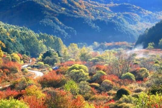 강원 인제 비밀의정원