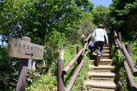 내수전 일출 전망대 울릉도 최고의 일출 뷰 (출처:트리플/방방콕콕)