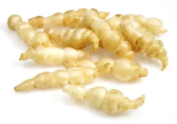 초석잠 효능과 영양성분, 주의점