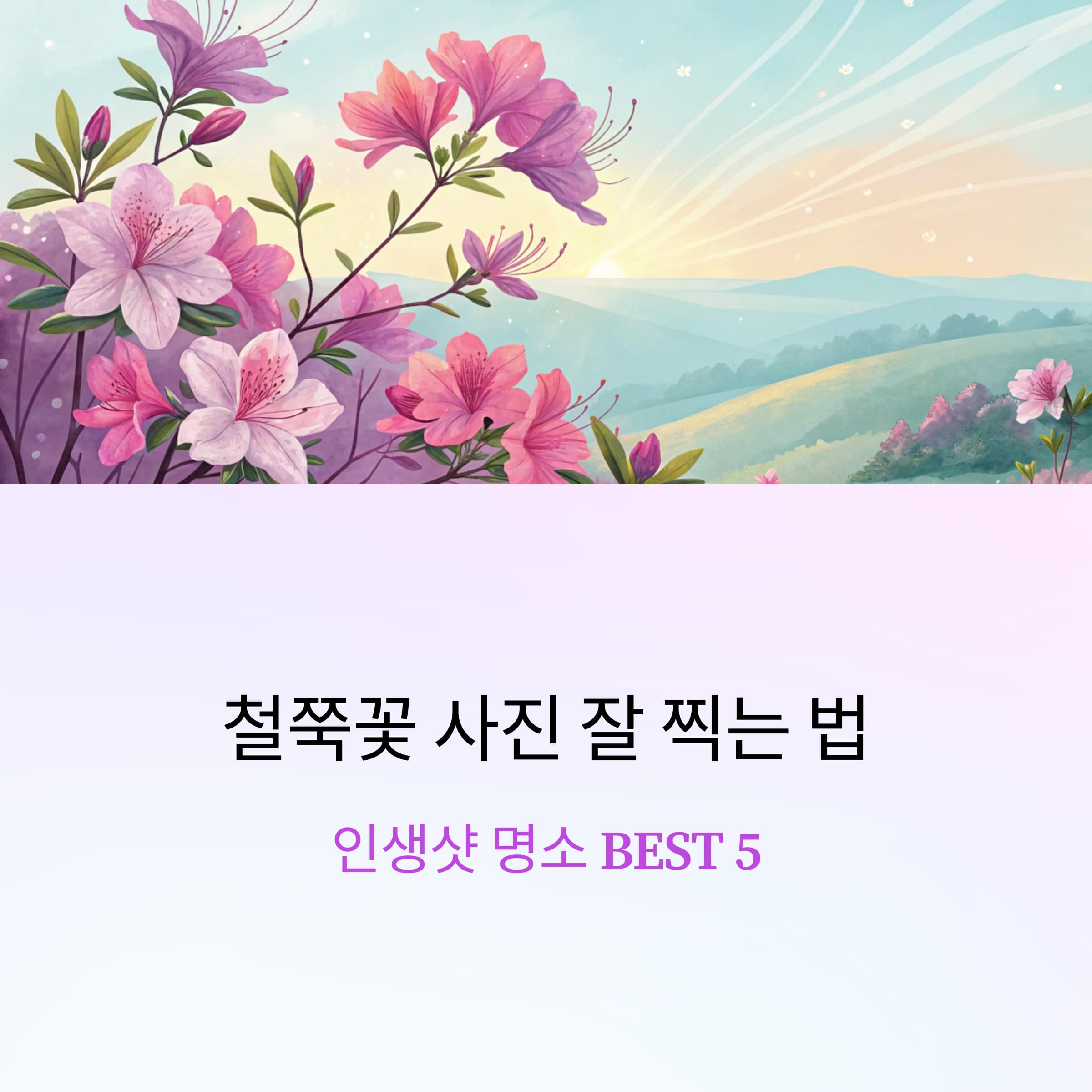 철쭉꽃-사진