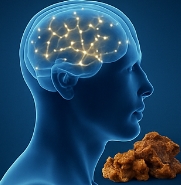 프로폴리스 효능