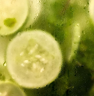 오이 효능 부작용 고르는법 칼로리