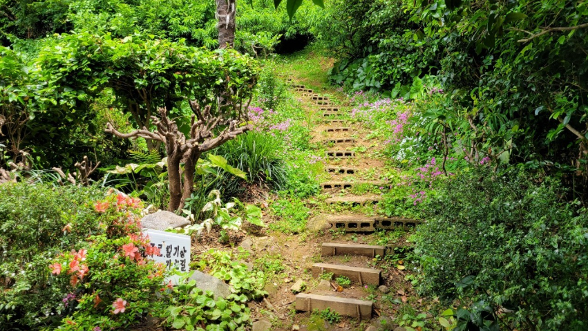 6시내고향 학꽁치낚시 섬마을바다풍경 경남 거제