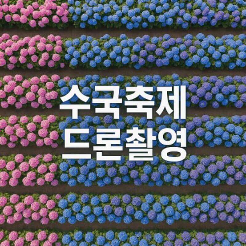 수국축제 드론촬영 허가비용 (절차 안내, 기준, 주의점) 관련사진