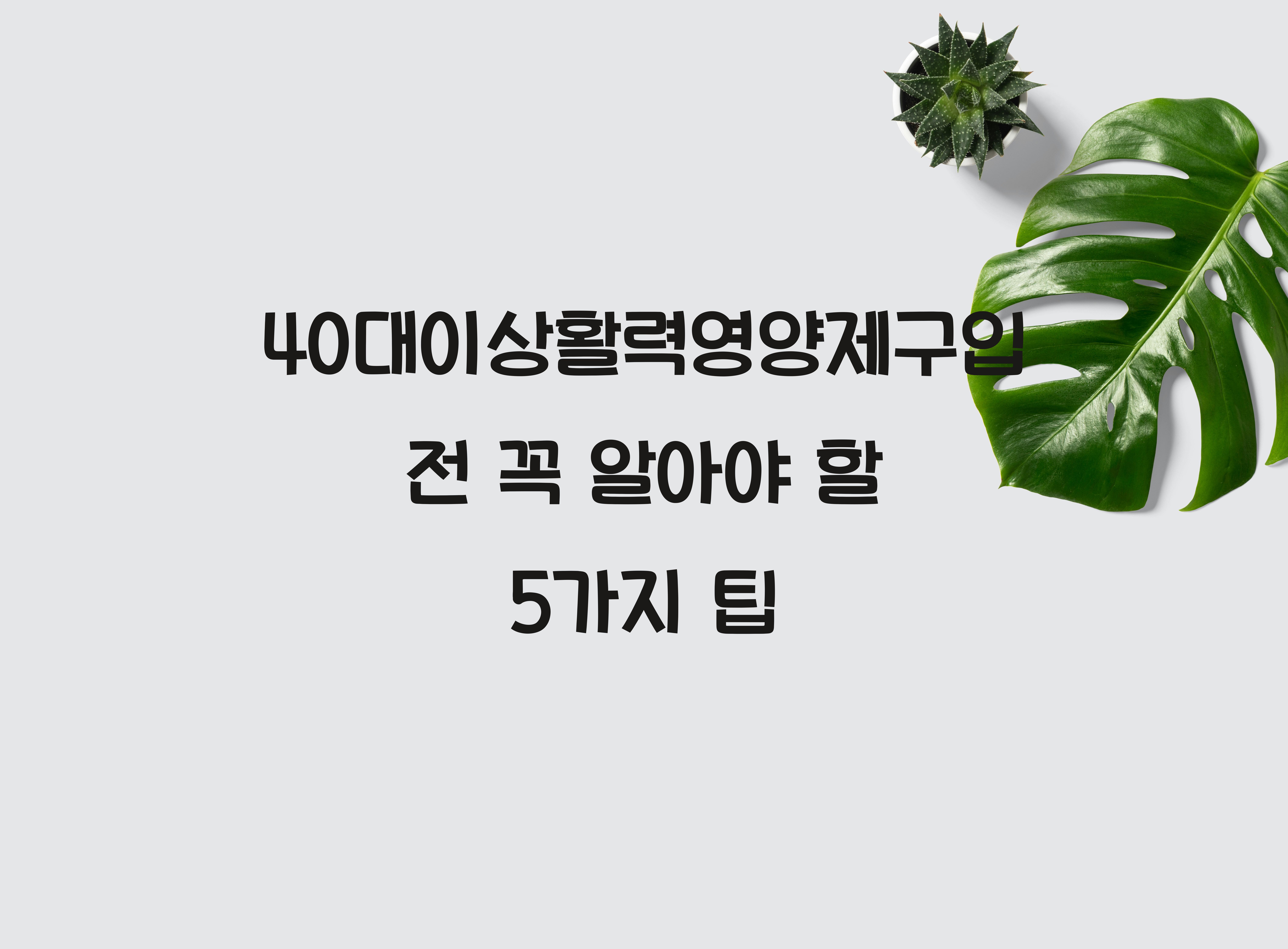 40대이상활력영양제구입
