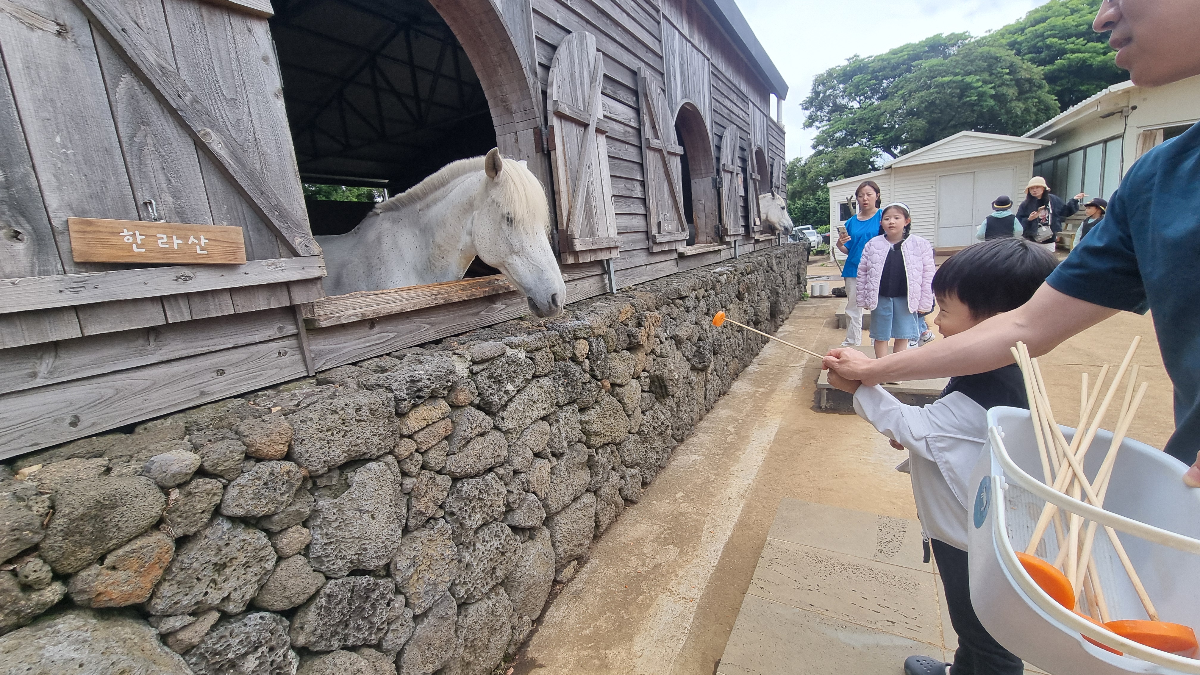 제주 목장카페 밭디