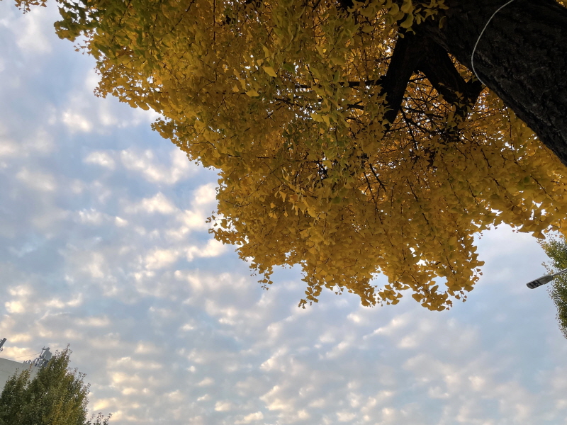 하이그라운드 제빵소