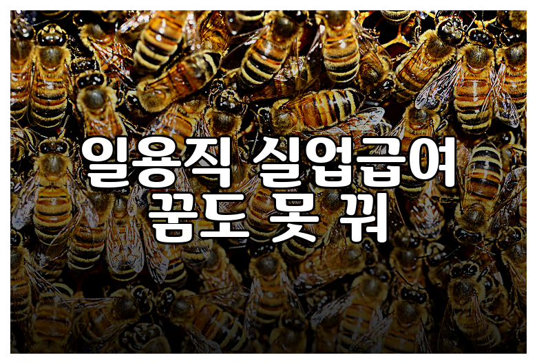 일용직 실업급여 꿈도 못 꿔