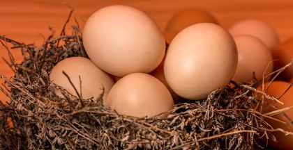 피로회복에 좋은 음식 중 하나인 계란