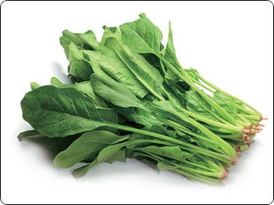 글루타치온 많이든 음식