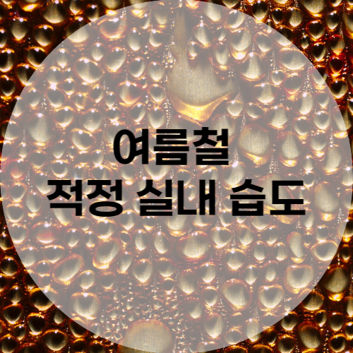 여름철 적정 실내 습도