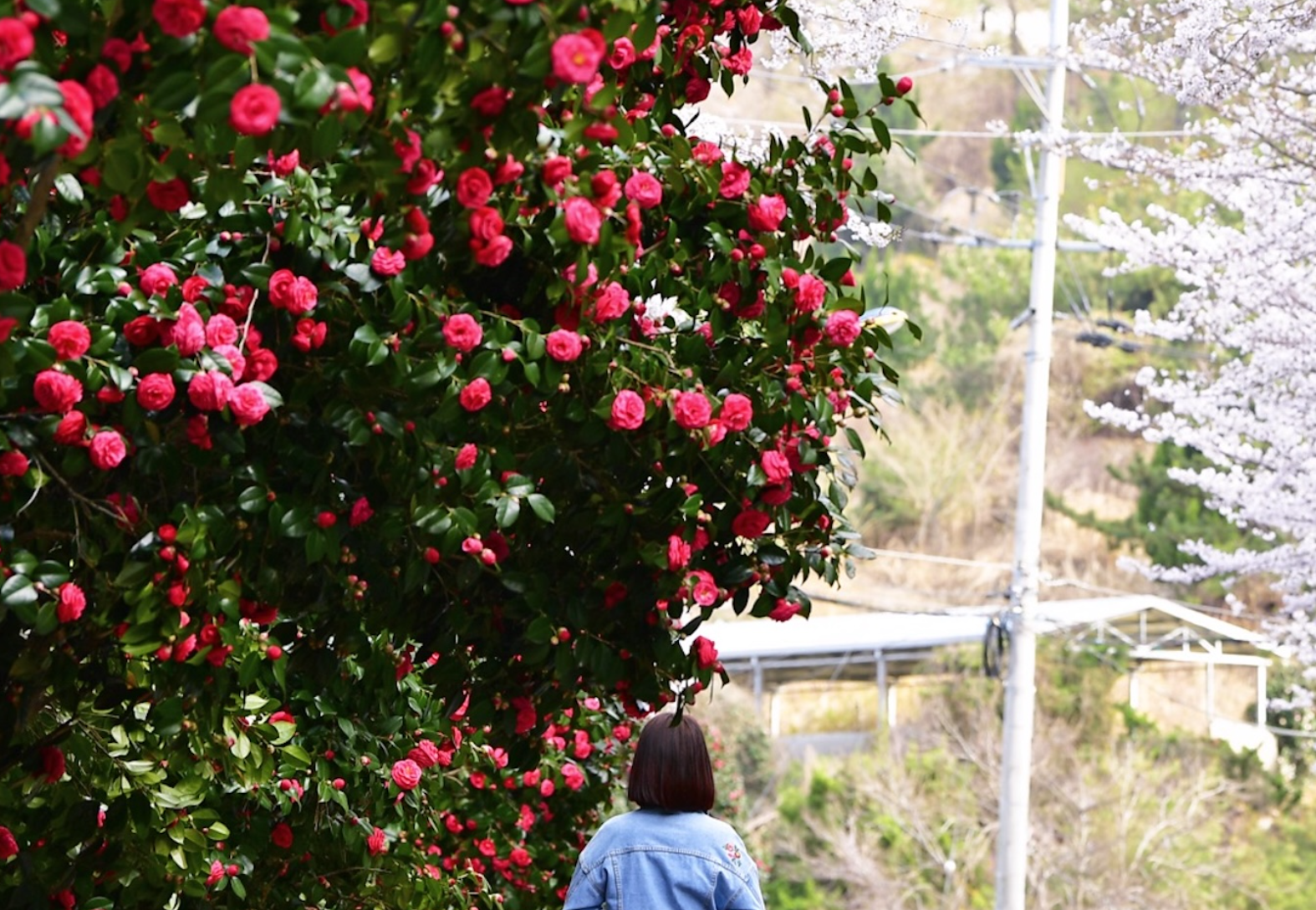진해 가볼만한곳 베스트10