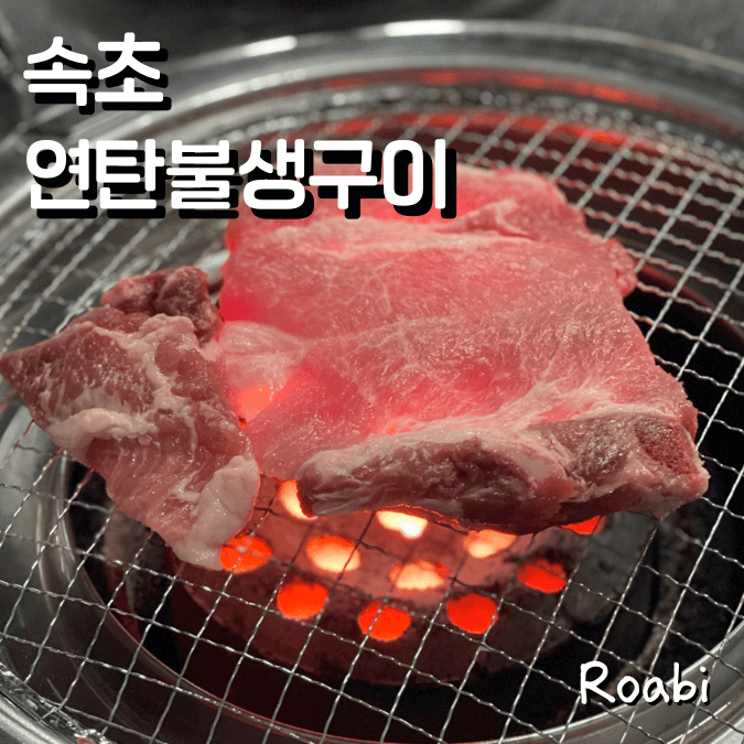[속초] &ldquo;연탄불생구이, 돈마호크부터 강원도 소주까지 완벽했던 고기 여행&rdquo; 🍖🌊