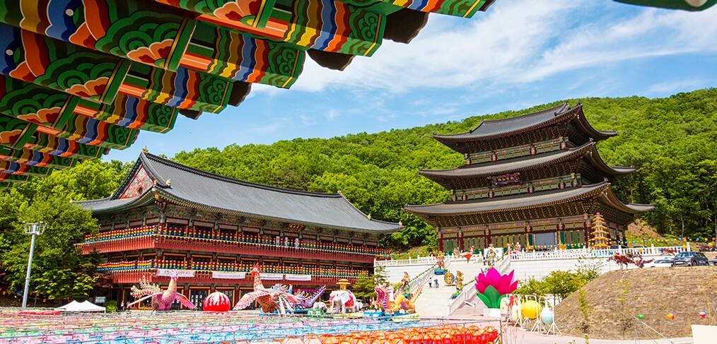 분당 대광사 : 분당 도심 속의 극락정토 동양 최대 규모의 미륵보전과 국내 최고 높이의 미륵불 좌상