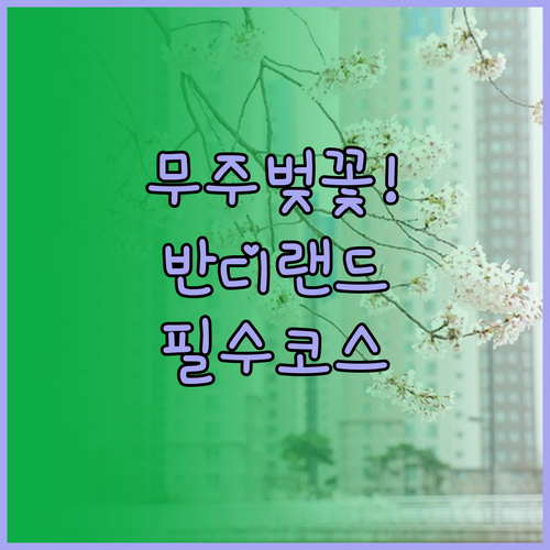 무주 벚꽃 축제 명소 정리 설천면 남..