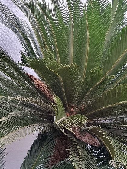 청주랜드-생태관