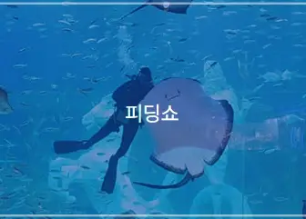 대전-신세계-아쿠아리움-입장료-할인-운영-시간