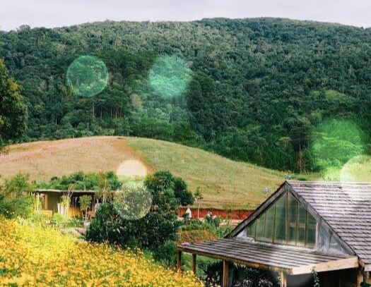 푸르른-나무가-무성하게있는-자연풍경