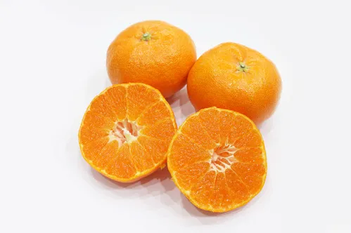 3월 제철음식 총정리