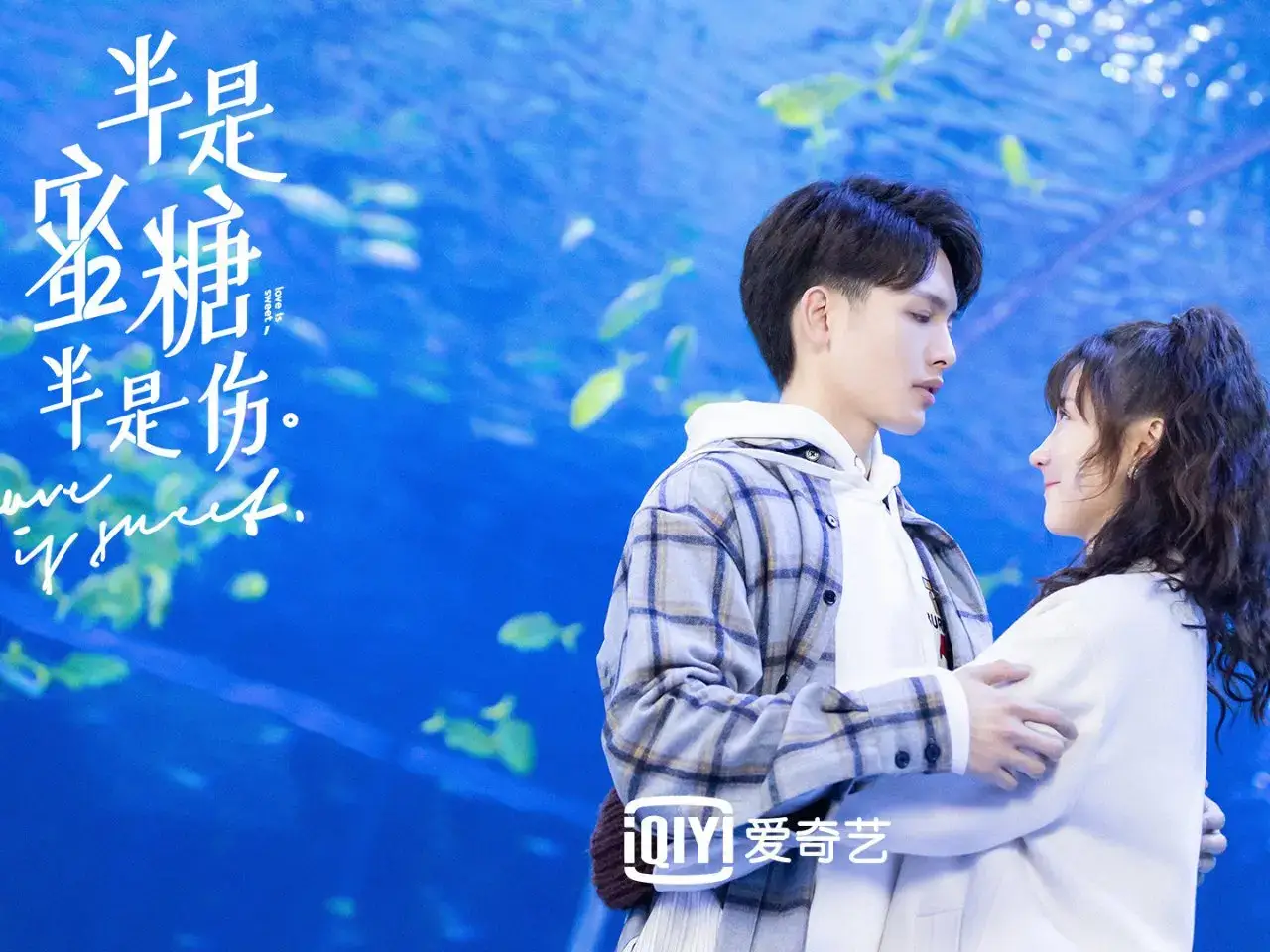 반시밀당반시상 출연진 줄거리 등장인물 결말 ott