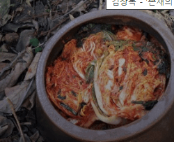 김장 배추 고르는 방법