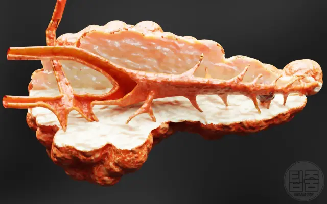 췌장암 의심증상 췌장암 5년 생존율 낮은 이유