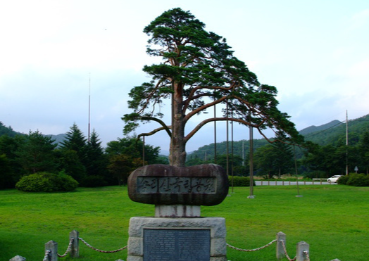 보은 가볼만한곳 베스트10