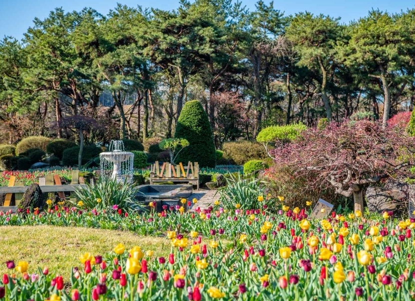 벽초지수목원 봄