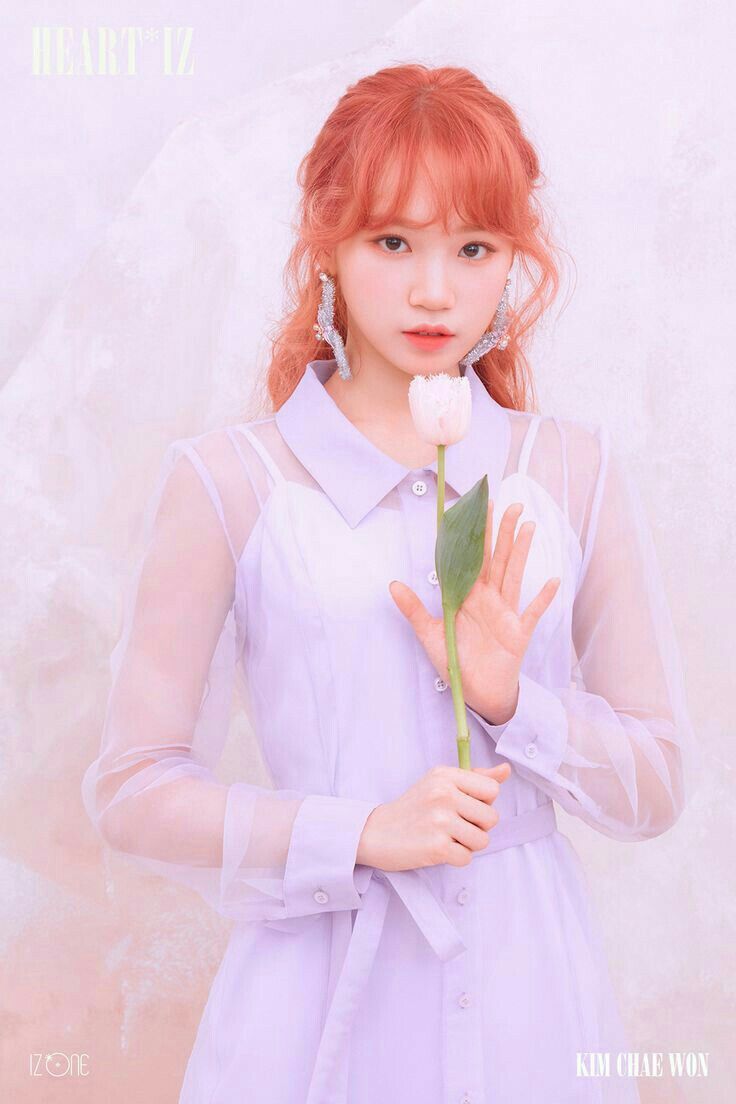 김채원 사진 모음