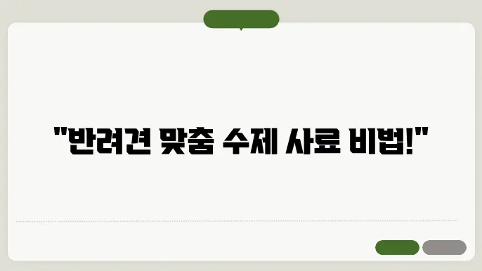반려견 입맛 사수 수제 사료 레시피와 맞춤식 2025년 추천