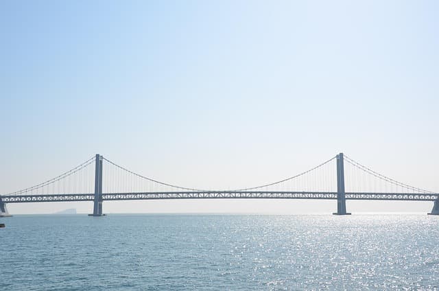 기후 변화 적응 전문가의 역할