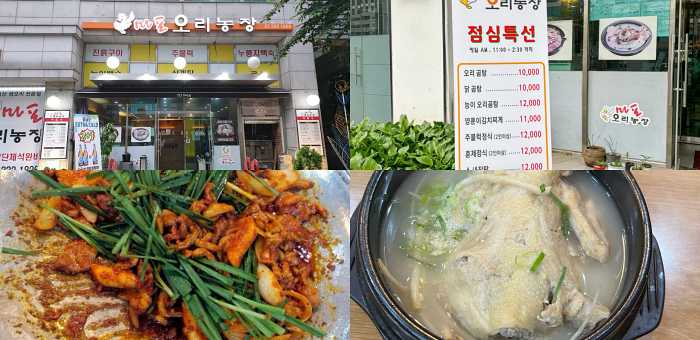 마포오리농장