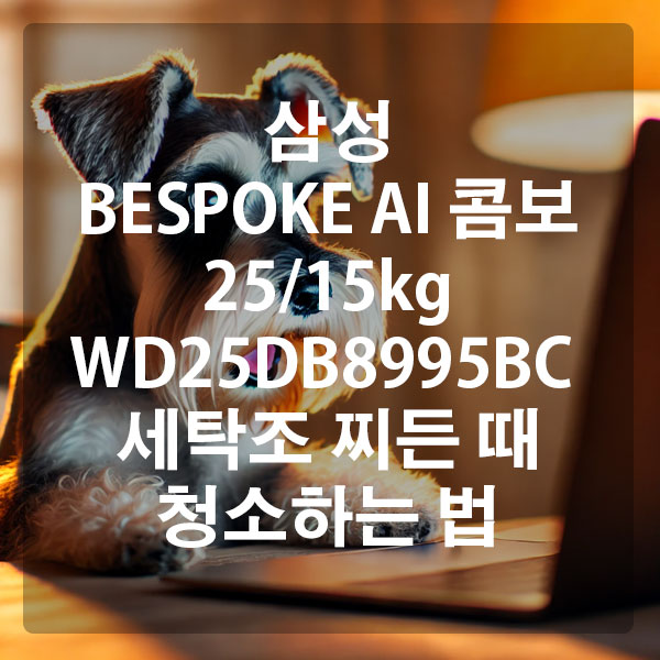 삼성 BESPOKE AI 콤보 25/15kg WD25DB8995BC 세탁조 찌든 때 청소하는 법
