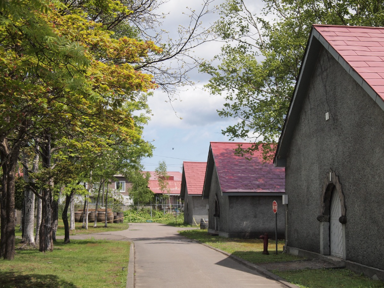북해도 6월 날씨