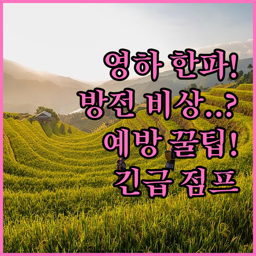겨울 한파 필수 자동차 배터리 방전 ..