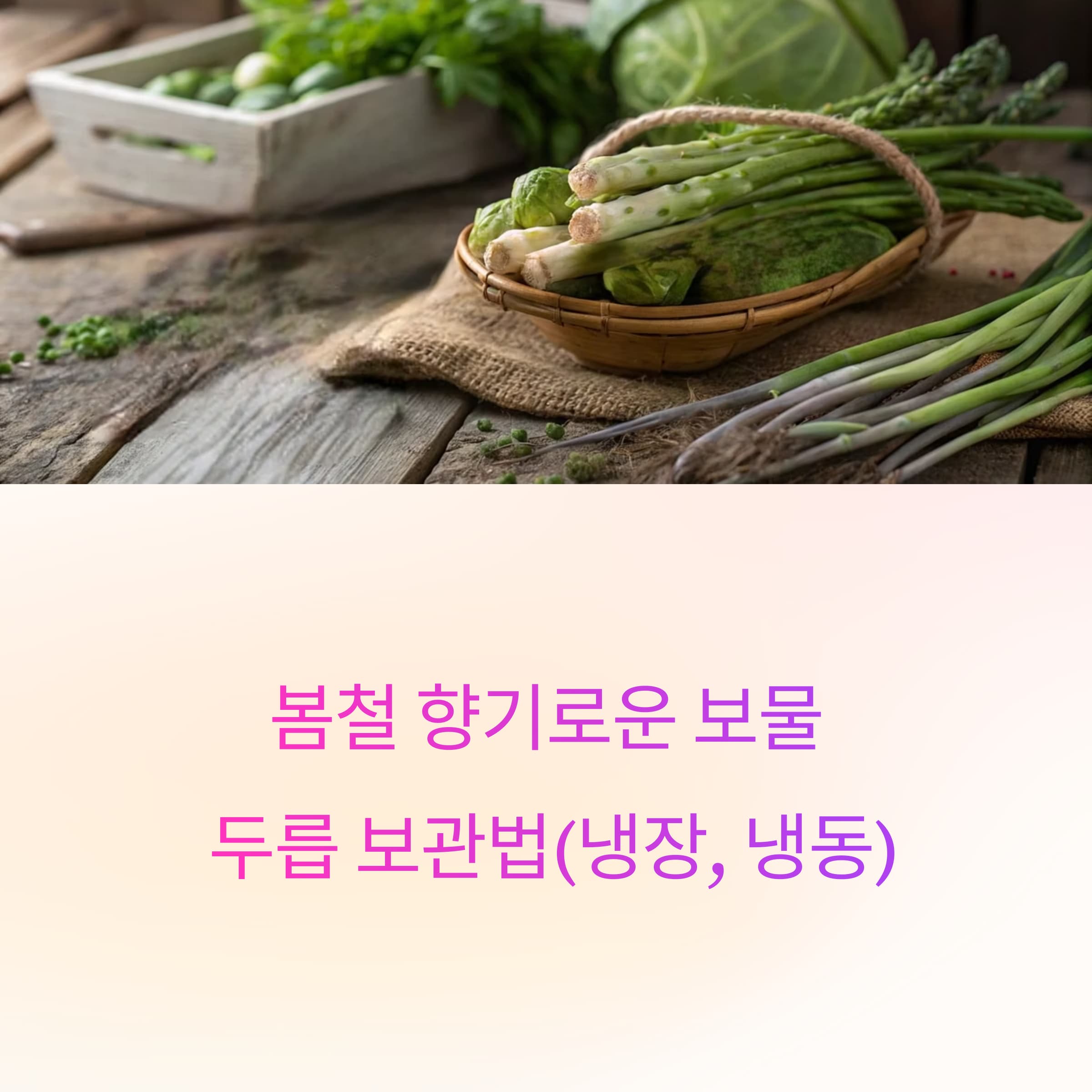 두릅-보관법-2025