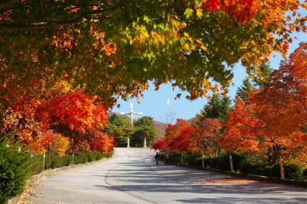 2024 가을 캠핑 준비물