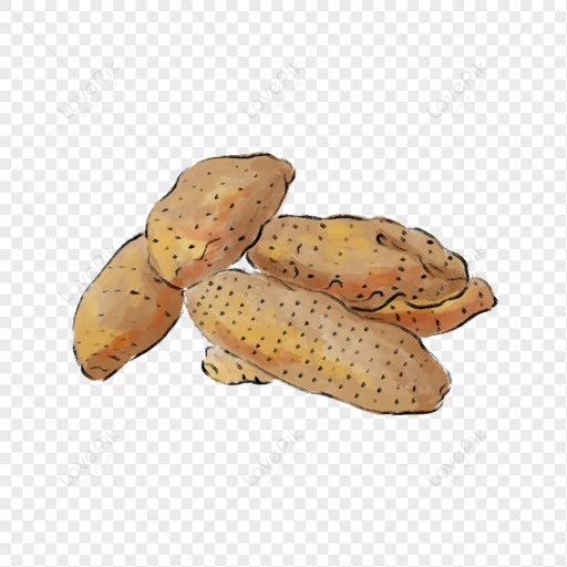 천마(Gastrodia elata): 신경계 질환 치료의 전통과 과학적 검증