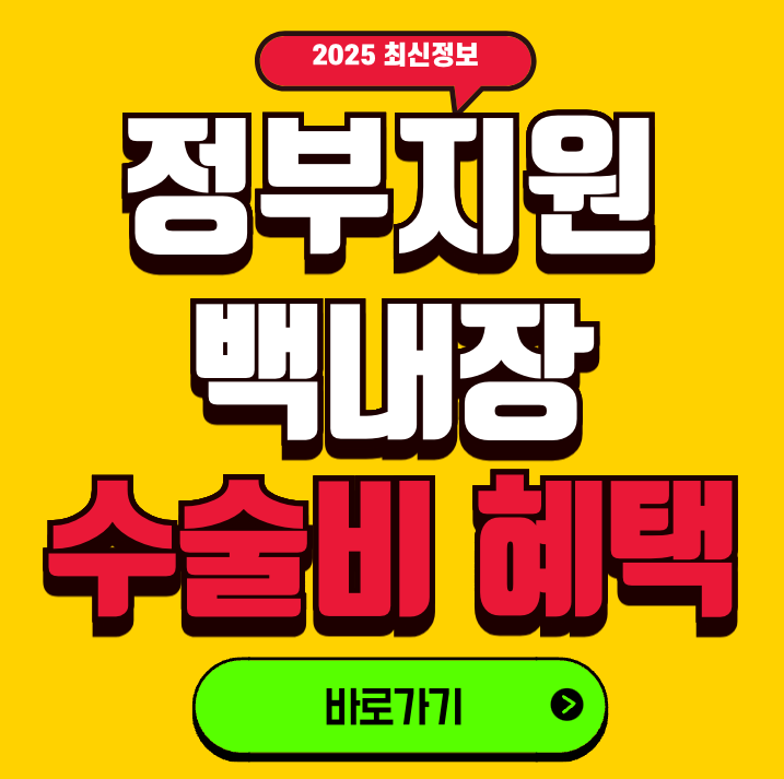 정부지원 백내장